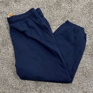 PINK Navy Jogger Pants